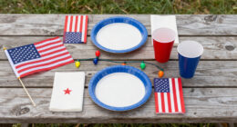 11 Best Patriotic Outdoor Party Supplies in 2026