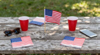 15 Best Patriotic Outdoor Party Supplies in 2026