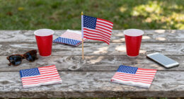 15 Best Patriotic Outdoor Party Supplies in 2026