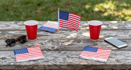 15 Best Patriotic Outdoor Party Supplies in 2026