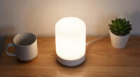 2 Best Home Night Lights In 2026