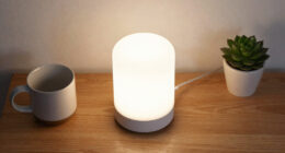 2 Best Home Night Lights In 2026