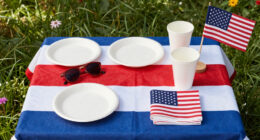 10 Best Patriotic Outdoor Party Supplies in 2026
